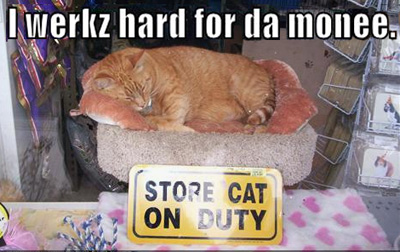 File:Werkzhard.jpg